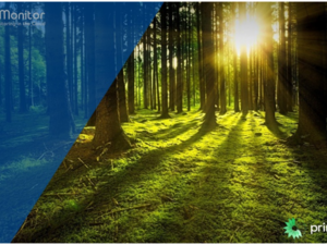 MPS Monitor가 PrintReleaf와 통합하여 측정 가능한 지속가능성을 구현하는 방법